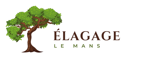 Élagage Le Mans - Abattage & Entretien d’arbres