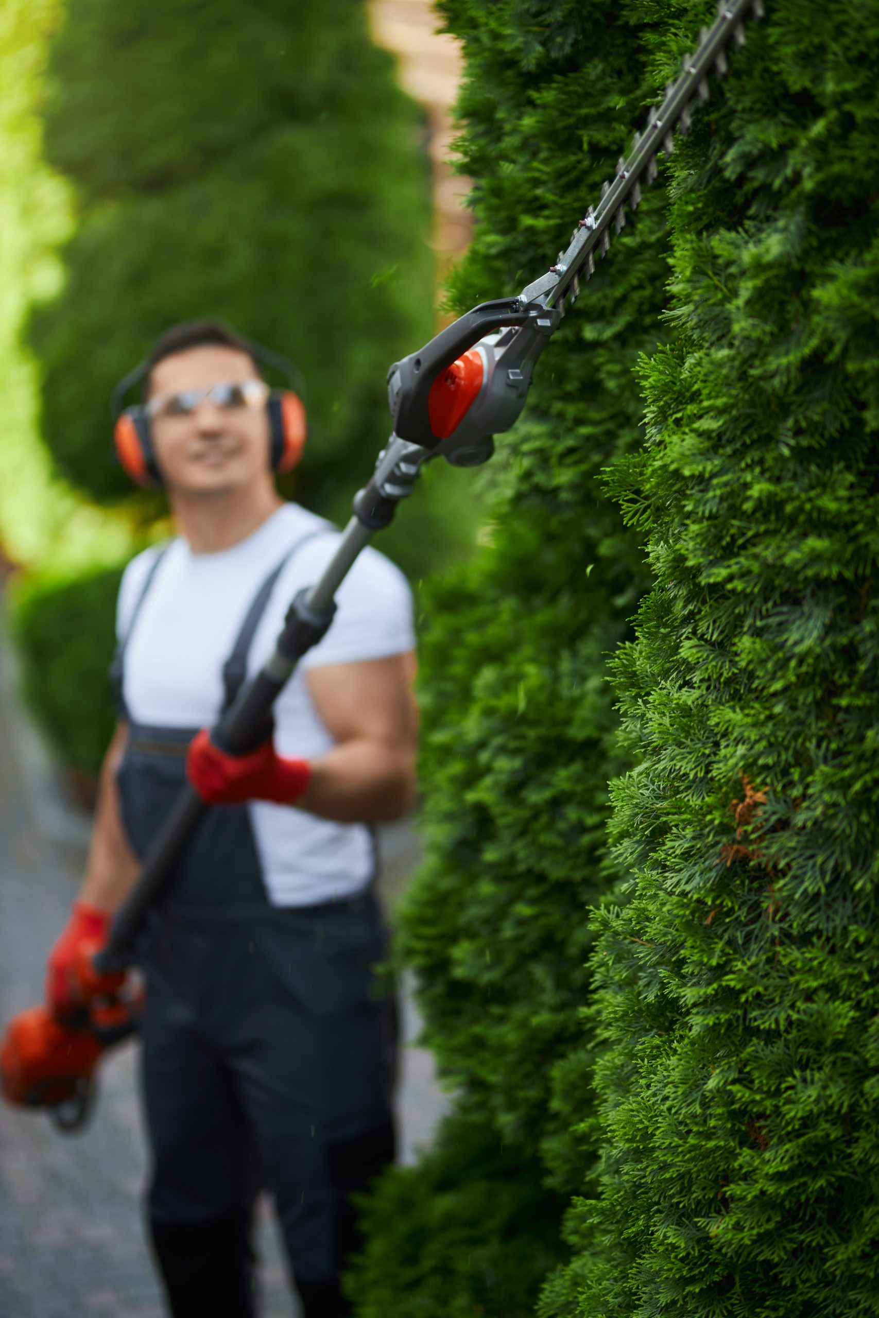Contactez votre élagueur au Mans (72) – Devis gratuit et intervention rapide